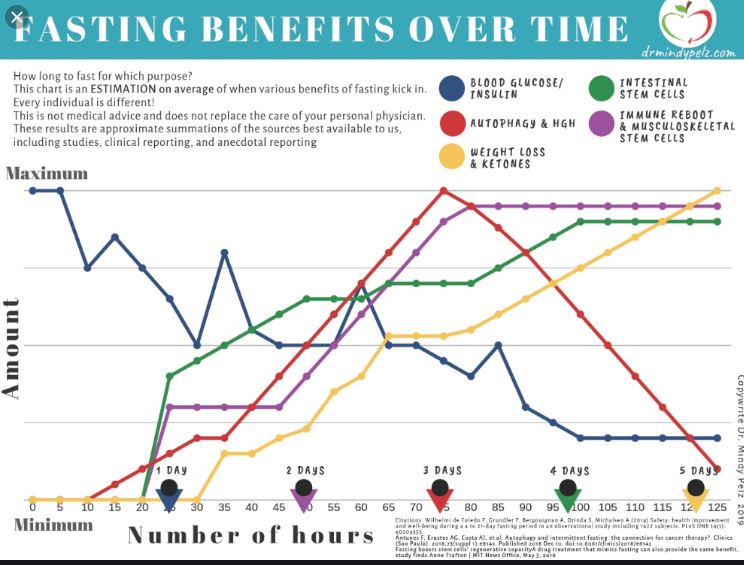 16 Hour Fasting Timeline